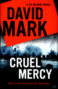 Book Cover for Cruel Mercy by David John Mark