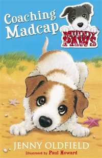 Book Cover for Coaching Madcap by Jenny Oldfield