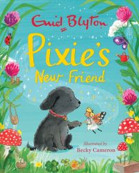 Book Cover for Pixie's New Friend by Enid Blyton