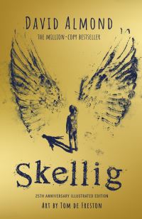 Book Cover for Skellig by David Almond