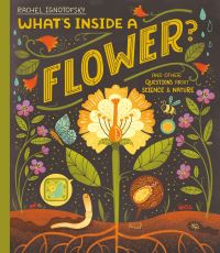 Book Cover for What's Inside a Flower? by Rachel Ignotofsky