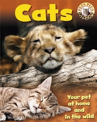 Book Cover for Cats by Honor Head