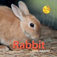 Book Cover for Rabbit by Jinny Johnson