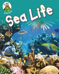 Book Cover for Sea Life by Annabelle Lynch