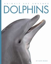Book Cover for Dolphins by Kate Riggs