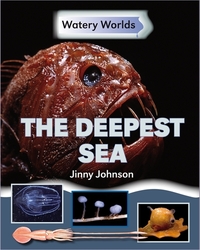 Book Cover for The Deepest Sea by Jinny Johnson