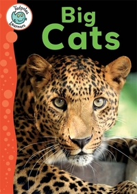 Book Cover for Big Cats by Annabelle Lynch