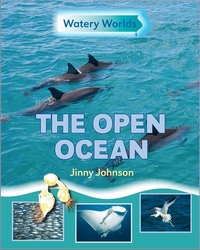 Book Cover for The Open Ocean by Jinny Johnson