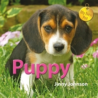 Book Cover for Puppy by Jinny Johnson