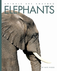 Book Cover for Elephants by Kate Riggs