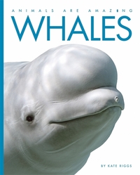 Book Cover for Whales by Kate Riggs