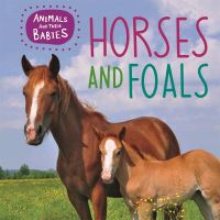 Book Cover for Horses and Foals by Annabelle Lynch