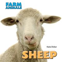 Book Cover for Sheep by Katie Dicker