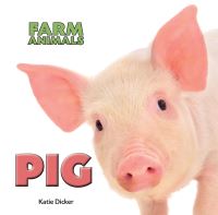 Book Cover for Pig by Katie Dicker