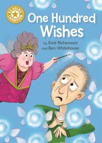 Book Cover for One Hundred Wishes by Enid Richemont