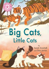 Book Cover for Big Cats, Little Cats by Sarah Snashall