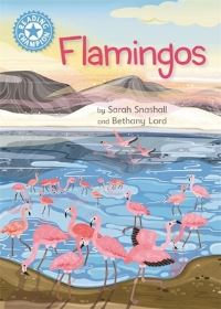 Book Cover for Flamingos by Sarah Snashall