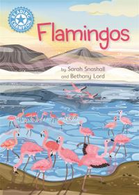 Book Cover for Flamingos by Sarah Snashall