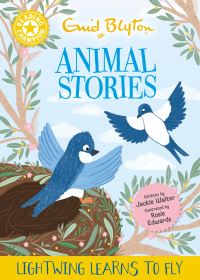 Book Cover for Reading Champion: Enid Blyton Stories: Lightwing Learns to Fly by Jackie Walter