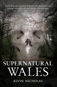 Book Cover for Supernatural Wales by Alvin Nicholas