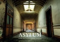 Book Cover for Asylum by Mark Davis