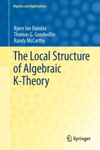 Book Cover for The Local Structure of Algebraic K-Theory by B I Dundas, Thomas G Goodwillie, Randy McCarthy