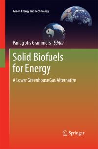 Book Cover for Solid Biofuels for Energy by Panagiotis Grammelis