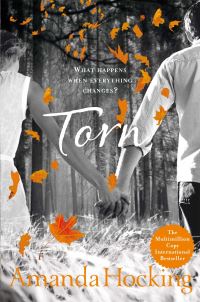 Book Cover for Torn by Amanda Hocking
