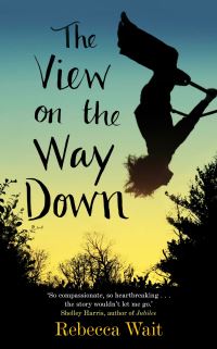 Book Cover for The View on the Way Down by Rebecca Wait