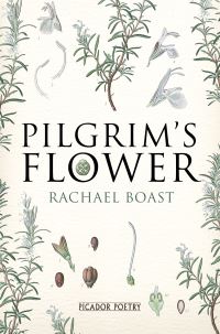 Book Cover for Pilgrim's Flower by Rachael Boast