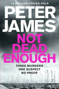 Book Cover for Not Dead Enough by Peter James