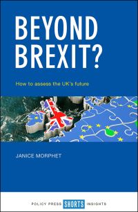 Book Cover for Beyond Brexit? by Janice Morphet