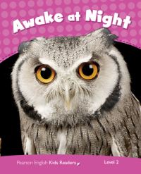 Book Cover for Level 2: Awake at Night CLIL AmE by Laura Miller