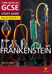 Book Cover for Frankenstein, Mary Shelley by Alexander Fairbairn-Dixon, Emma Page