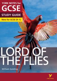Book Cover for Lord of the Flies, William Golding by S W Foster, Beth Kemp