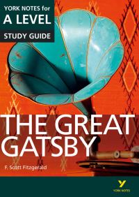 Book Cover for The Great Gatsby by Julian Cowley