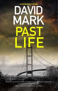 Book Cover for Past Life by David John Mark