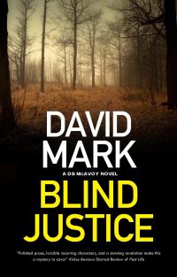 Book Cover for Blind Justice by David John Mark