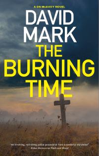Book Cover for The Burning Time by David John Mark
