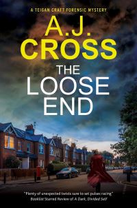 Book Cover for The Loose End by A J Cross