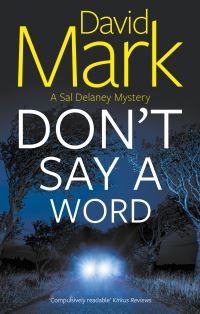 Book Cover for Don't Say a Word by David John Mark