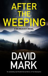 Book Cover for After the Weeping by David John Mark