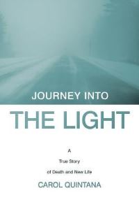 Book Cover for Journey Into the Light by MaryJane Schneider