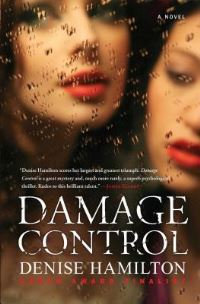 Book Cover for Damage Control by Theodore Dreiser