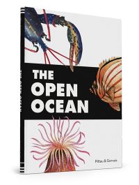 Book Cover for The Open Ocean by Francisco Pittau