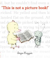 Book Cover for This Is Not a Picture Book! by Sergio Ruzzier