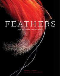 Book Cover for Feathers by Robert Clark