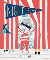 Book Cover for Night Play by Lizi Boyd