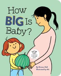 Book Cover for How Big Is Baby by Kirsten Hall