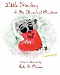 Book Cover for Little Stockey & The Miracle of Christmas by Tressa Green